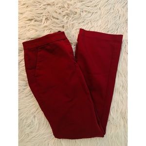 Express Dress Pant
